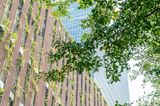istock green leaves front of office building 646363754