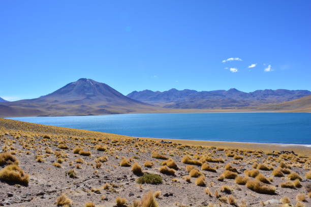 istock Salt lake at the Atacama desert, Chile 646363780