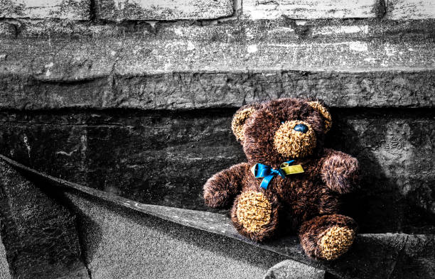 istock teddy bear on a background of gray brick wall 646364040
