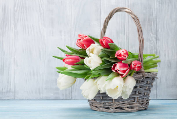 istock Colorful tulips bouquet 646369822