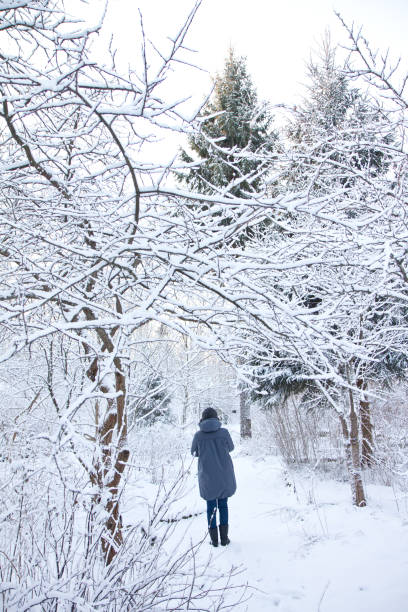 istock Girl walking in snowy forest 646376234