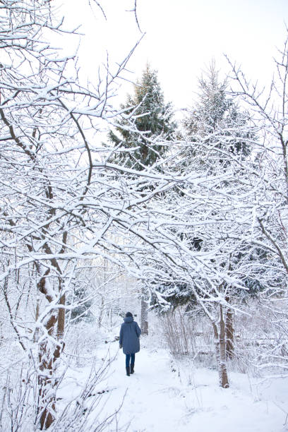 istock Girl walking in snowy forest 646376390