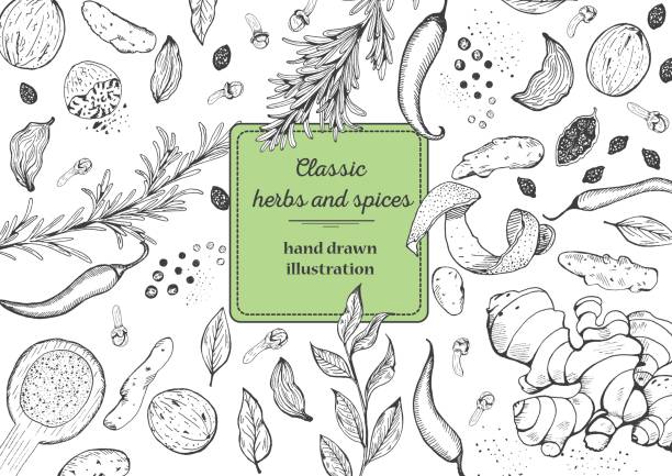 kuvapankkikuvitukset aiheesta mauste ja yrtit ylänäkymäkehys. - yrtti