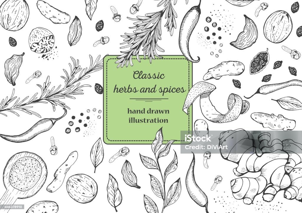 Spice and herbs top view frame. Spice and herbs top view frame. Vintage hand drawn sketch vector illustration. White background. Vector Design template. Spice stock vector