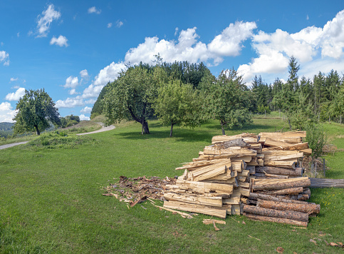 Processed firewood on a meadow in rural landscape with blue and white sky