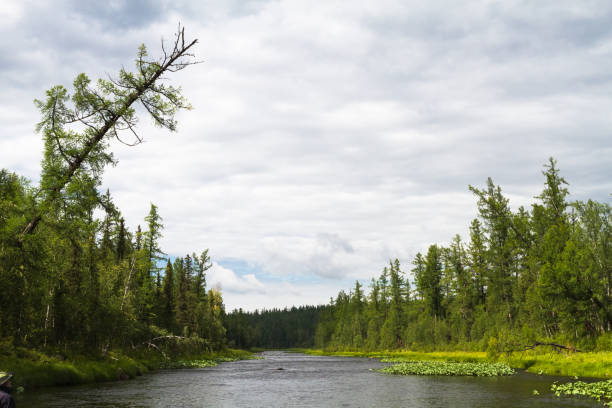 istock Rapids on the river. Eastern Siberia. Krasnoyarsk territory 646381372