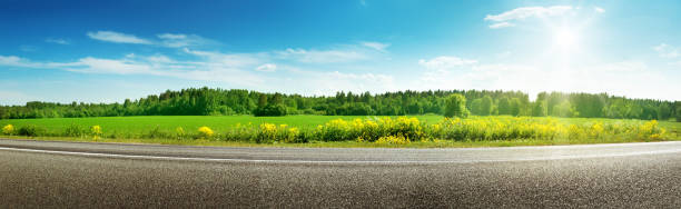 panorama de primavera soleado carretera en día - panoramic summer tree europe fotografías e imágenes de stock