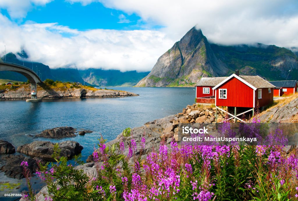 Lofoten islands  in Northern Norway Landscape with red fisherman houses on Lofoten islands, Norway Norway Stock Photo