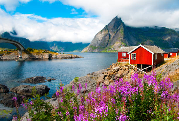 Lofoten islands  in Northern Norway Landscape with red fisherman houses on Lofoten islands, Norway lofoten photos stock pictures, royalty-free photos & images