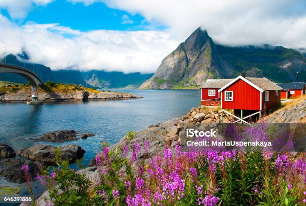 Lofoten Islands In Northern Norway Stock Photo - Download Image Now - Norway, Fjord, Lofoten