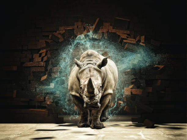 powerfull as rhino rhino destroy brick wall 3d rendering image rhinoceros stock pictures, royalty-free photos & images