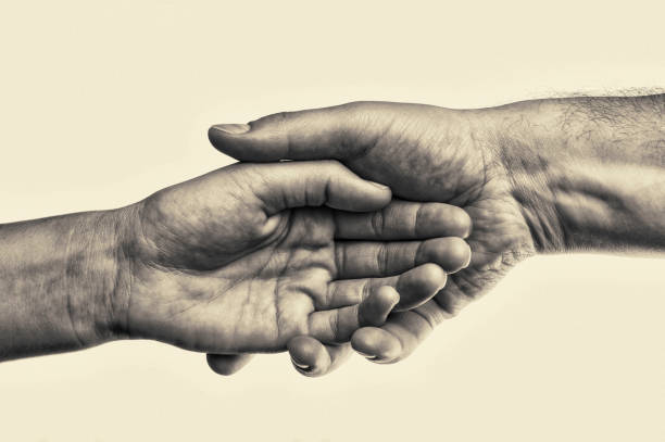 istock Male hand holds the female palm. 646407342
