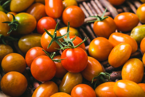 istock Fresh organic tomatoes. Close-up. 646409746