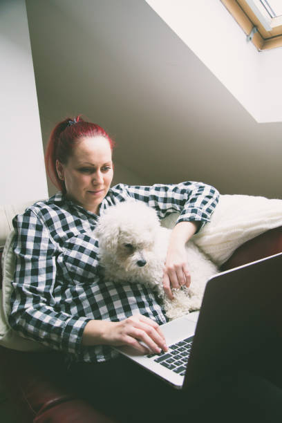 istock Woman using a laptop with her dog on bed 646415522