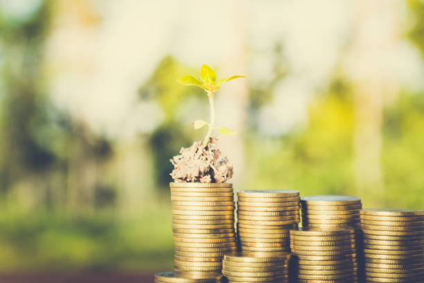 istock plant growing out of coins 646416370