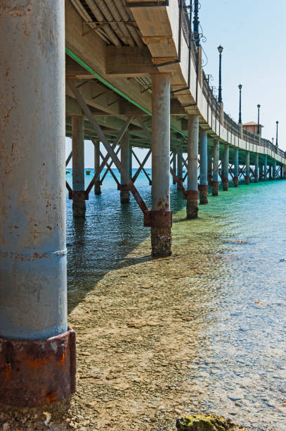 istock Large pier jetty on a tropical beach resort 646416446
