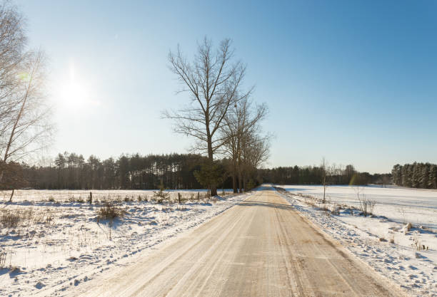 istock Road at white winter landscape in the forest. 646417988
