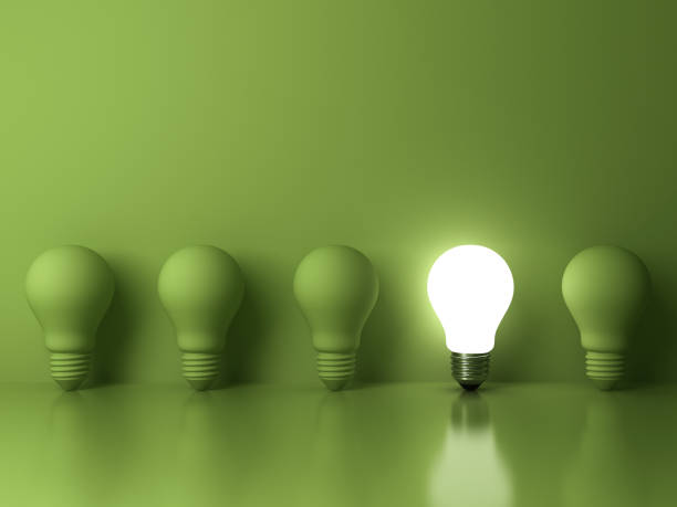 istock One glowing light bulb standing out from the unlit incandescent bulbs on green background with reflection , The business concept and individuality concept 646418102