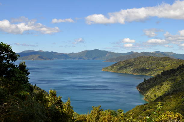 vista de la reina charlotte pista, nueva zelanda - queen charlotte track fotografías e imágenes de stock