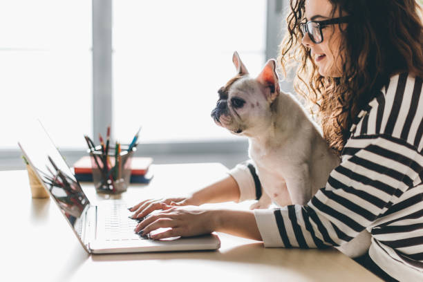 istock I'm not under stress when this cutie is here! 646427322