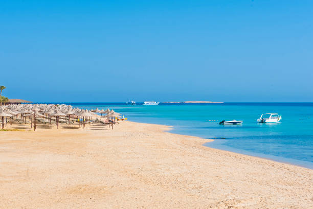 istock Tropical beach and sea at resort 646436670