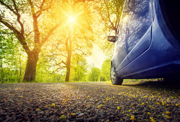 istock Car on asphalt road in spring 646436884