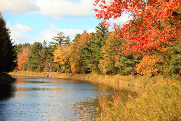 istock Scenic fall view in Middle musquodoboit, Nova Scotia, Canada 646452190