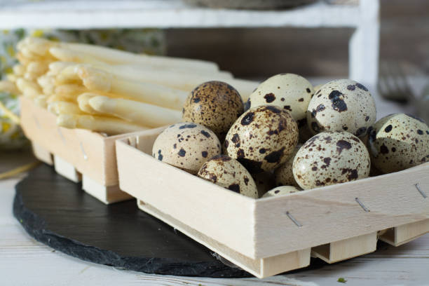 istock Spring season - fresh white asparagus and quail eggs on black stone plate 646452598