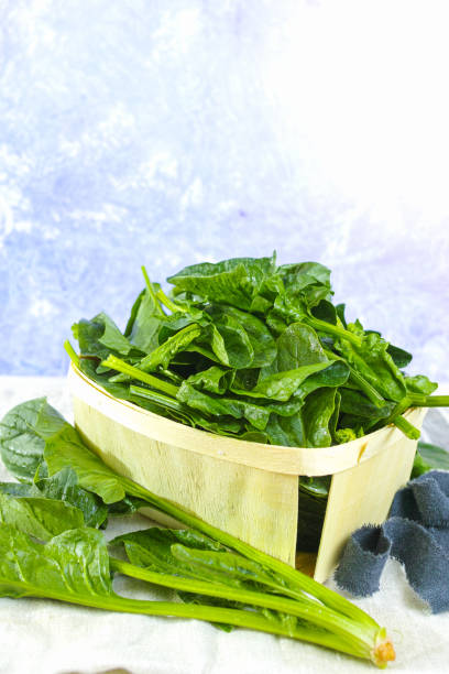 istock Fresh green Spinach leaves - diet and health concept 646452656