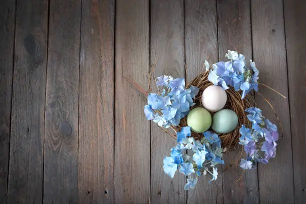 Easter eggs in a nest with blue hydrangeas on dark wood