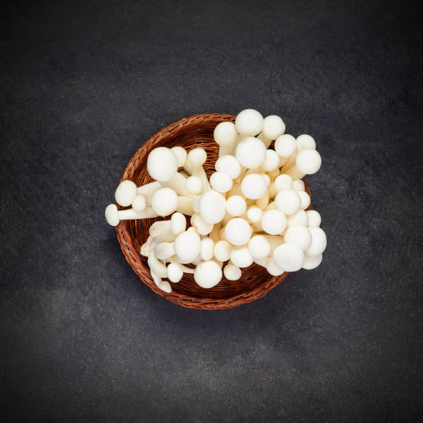 istock Shimeji Edible Mushroom 646457834