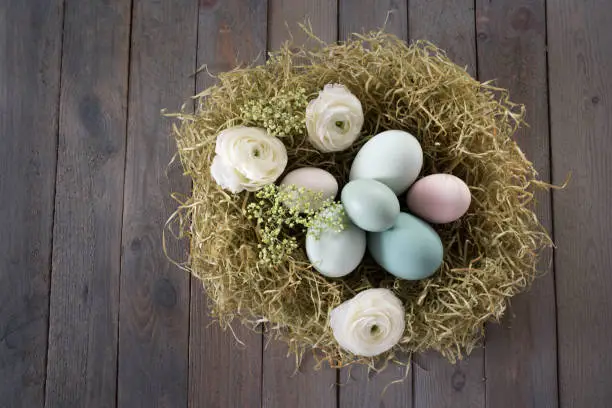 Close up of pastel colored easter eggs in a nest of straw on a dark shabby wooden table