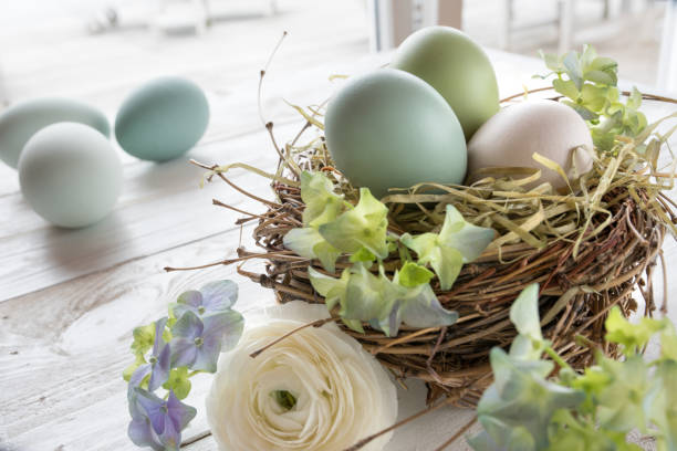 natura morta con uova di pasqua in un nido e fiori - textraum foto e immagini stock