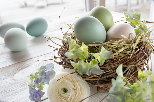 Still life with pastel colored easter eggs in a nest of straw and flowers on a white wooden table