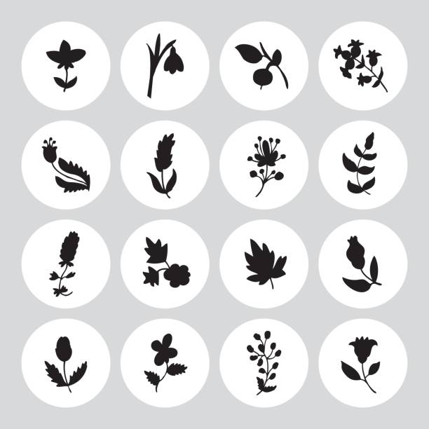 Leaves and flowers icons set. Leaves and flowers icons set. Vector design elements. It can be used as - logo, pictogram, icon, infographic element. linden new jersey stock illustrations