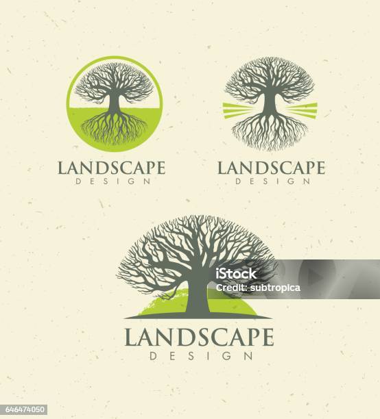 Landscape Design Creative Vector Concept Tree With Roots Inside Circle Organic Sign Set On Craft Paper Background Stock Illustration - Download Image Now