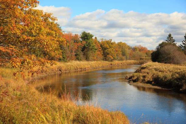 istock View of a river in Middle Musquodoboit, Nova Scotia, Canada 646475484