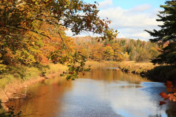 istock View of a river in Middle Musquodoboit, Nova Scotia, Canada 646478756