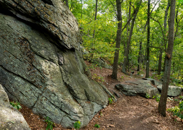 istock Appalachian Trail Edges along Rock Formation 646479962