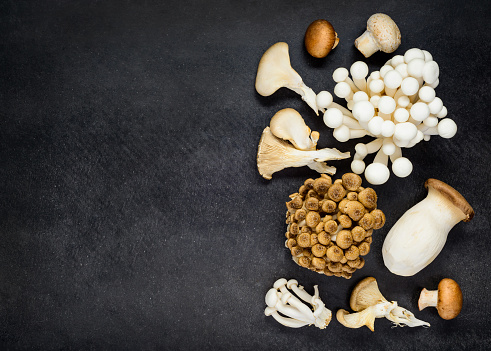 healthy edible mushroom