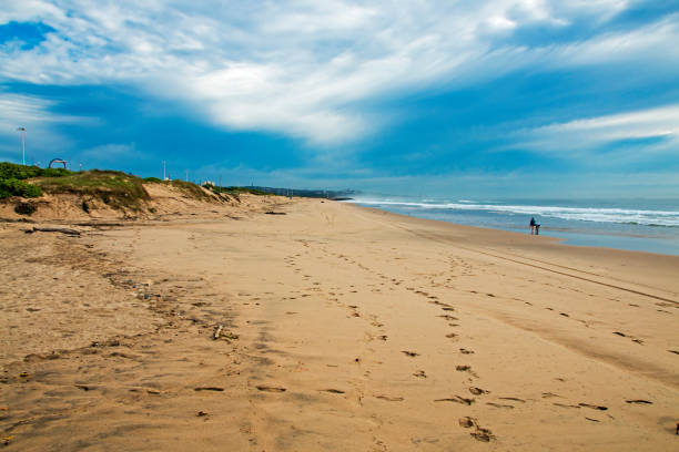 istock Sandy beach shoreline and vegetated dunes against blue skyline 646485668