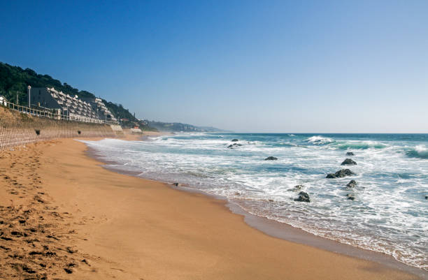 istock Sandy beach shoreline and vegetated dunes against blue skyline 646486208