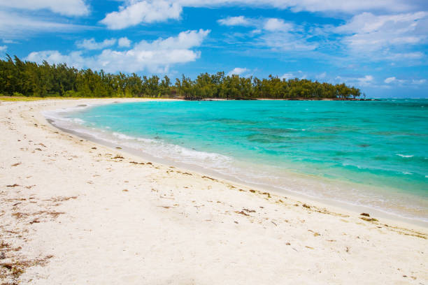 istock View of beautiful beach in Mauritius island 646491072