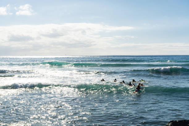istock Surf school - several surfboarding students headed into an ocean swell 646494372