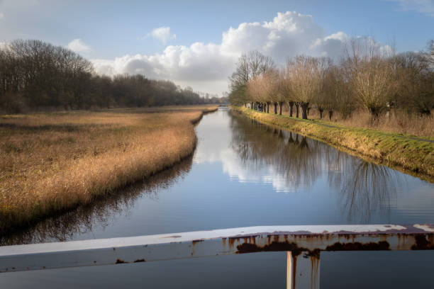 istock Perspective view over a chanel with typical Netherlands landscape with willows, reed and water 646499838