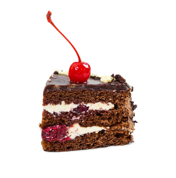 istock Piece of chocolate cherry cake 646510368