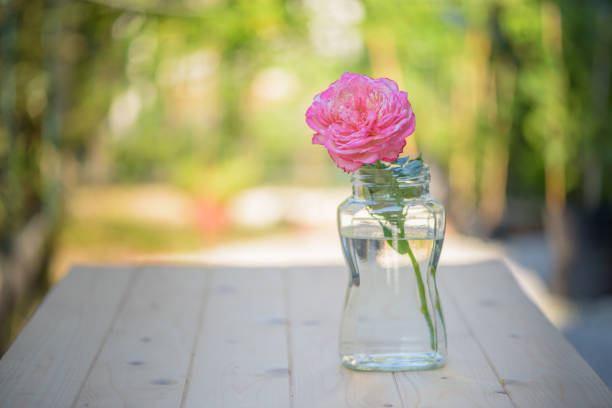 istock Pink rose in glass jar on wooden table 646515182
