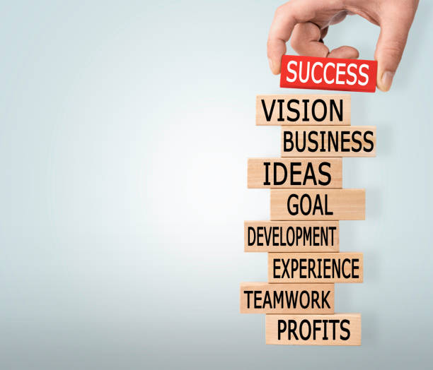 istock Success Concept with Wooden Blocks 646520844