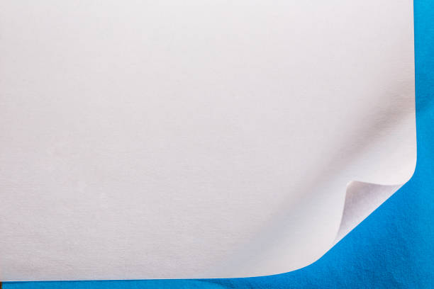istock Blank sheet of paper 646538204