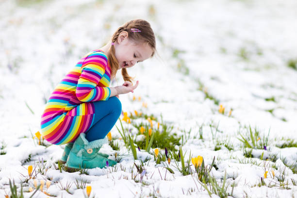 bambina con fiori di croco sotto la neve in primavera - snow crocus flower spring foto e immagini stock